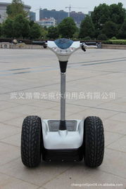 永康市踏雪無痕休閑用品有限公司——電動(dòng)觀光車產(chǎn)品列表與休閑觀光活動(dòng)